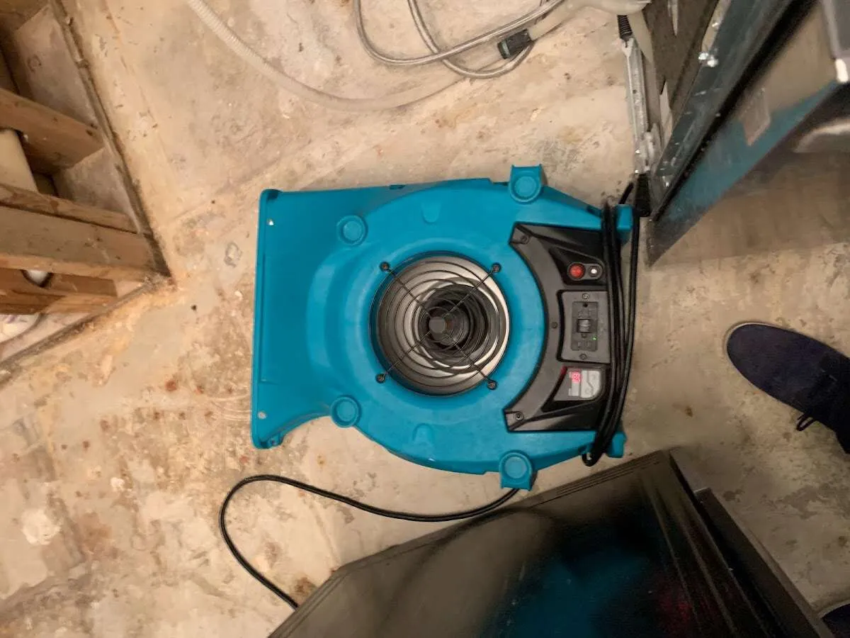 Air mover drying equipment for Mold Remediation & Removal in Carolina Beach